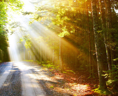 KAPS Breaking Misconceptions Featured