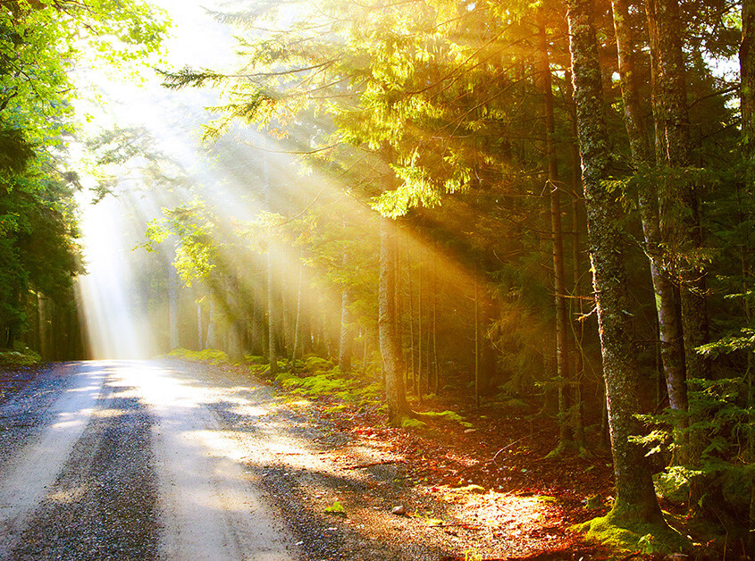 KAPS Breaking Misconceptions Featured