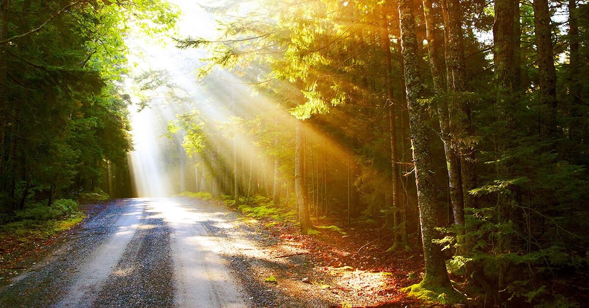 KAPS Breaking Misconceptions Featured