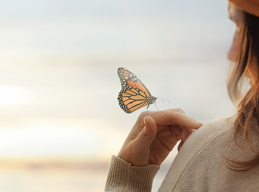 KAPS Popularity featured